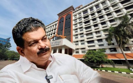 പി.വി അന്‍വറിന്‍റെ പാര്‍ക്കിന് ലൈസന്‍സ് ഇല്ലെന്ന് സര്‍ക്കാര്‍; പിന്നെങ്ങനെ പ്രവർത്തിക്കുമെന്ന് ഹൈക്കോടതി