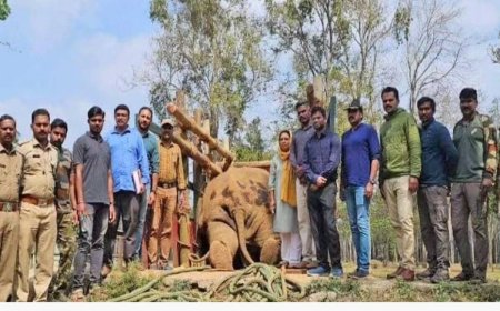 തണ്ണീര്‍ക്കൊമ്പന്‍റെ ജഡത്തിന് മുന്നില്‍ വനംവകുപ്പ് ഉദ്യോഗസ്ഥരുടെ 'ഫോട്ടോഷൂട്ട്'; നടപടി വേണമെന്ന് പരാതി