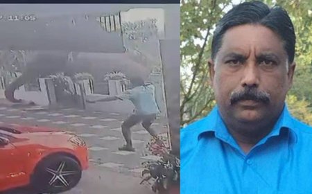 വയനാട്ടിൽ മയക്കുവെടിയും കുങ്കിയാനകളും തയാർ; ബേലൂർ മഗ്നയെ ഉടൻ പിടികൂടും