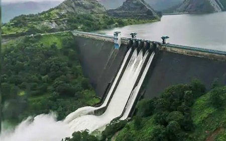 'സോഷ്യൽ മീഡിയ ശരിയാംവിധം ഉപയോഗിക്കൂ'; മുല്ലപ്പെരിയാർ അണക്കെട്ട് വിഷയത്തിൽ ഇടുക്കി കലക്ടർ
