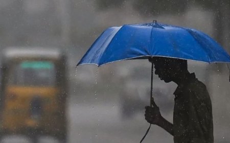 Kerala Weather| സംസ്ഥാനത്ത് ശക്തമായ മഴ തുടരും: വയനാട് അടക്കം 6 ജില്ലകളിൽ യെല്ലോ അലർട്ട്