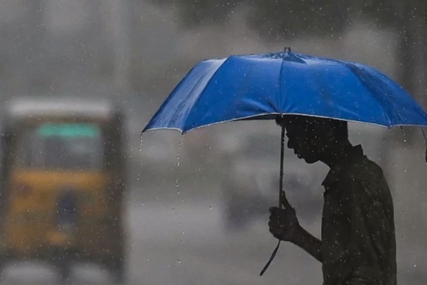 Kerala Weather| സംസ്ഥാനത്ത് ശക്തമായ മഴ തുടരും: വയനാട് അടക്കം 6 ജില്ലകളിൽ യെല്ലോ അലർട്ട്